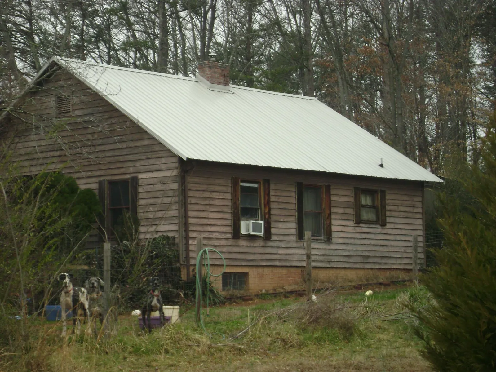 White metal roof on an old wood sided farmhouse, from a Asphalt Shingle Roof Repair job in Caryville